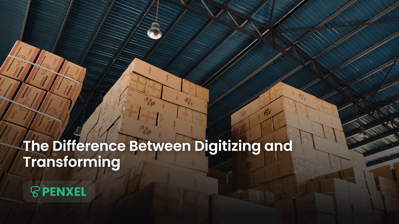 The Difference Between Digitizing and Transforming